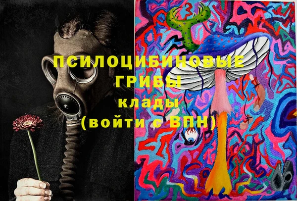 2c-b Алексин